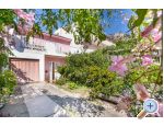 Apartma Olenka - Podgora Hrvaka