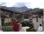 Appartement Olivija - Podgora Croatie