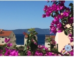 Appartements - Minka i Vite - Podgora Kroatien