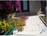 Appartements - Minka i Vite - Podgora Kroatien