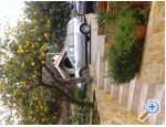 Apartmaji Aleri - Podgora Hrvaka