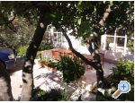 Apartmaji Aleri - Podgora Hrvaka