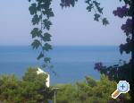 Apartamenty Antonela Dranice - Podgora Chorwacja