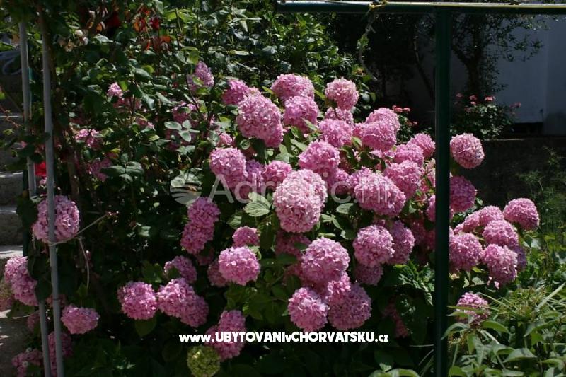 Appartements Daria – Ferienwohnung Podgora, Kroatien – Foto 1