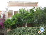 Apartmani Flora Kroatien