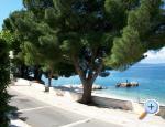 Appartements Mirjana Gnjec - Podgora Croatie