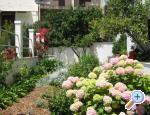 Appartements Mirjana Gnjec - Podgora Croatie