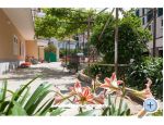 Apartmaji Lucijeti - Podgora Hrvaka