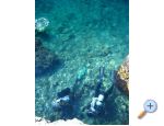 Apartmaji Srzentic - Podgora Hrvaka