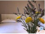 Appartements Sumi - Podgora Kroatien