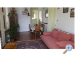 Appartements Zorko - Podgora Kroatien