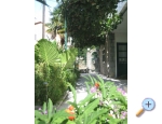 Appartements Draga - Podgora Kroatien