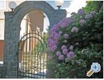 Appartements Draga - Podgora Kroatien