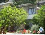 Appartements Draga - Podgora Kroatien