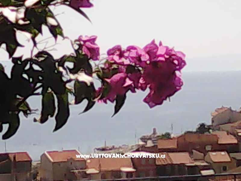 Apartmány Kelava Željko – Ferienwohnung Podgora, Kroatien – Foto 16