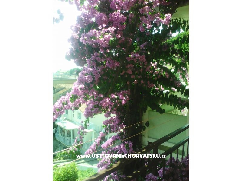 Apartmány Kelava Željko – Ferienwohnung Podgora, Kroatien – Foto 8