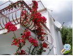 Appartement Vito - Podgora Croatie
