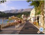Apartmaji ANTE - Podgora Hrvaka