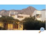 Apartmaji ANTE - Podgora Hrvaka