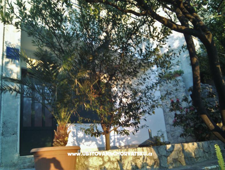Ferienwohnungen Brusje – Ferienwohnung Podgora, Kroatien – Foto 2