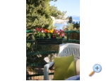Apartmaji Krani - Podgora Hrvaka