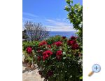 Apartmaji Milica - Podgora Hrvaka