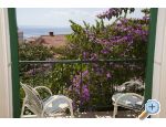 Apartmaji Mira - Podgora Hrvaka