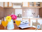 Apartmaji Slaven - Podgora Hrvaka