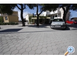 Dakica - Podgora Kroatien