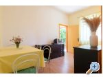 Apartmaji Bori - Podgora - Podgora Hrvaka