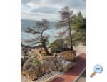 Luka Koki Appartements - Podgora Kroatien