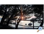 Luka Koki Apartmaji - Podgora Hrvaka