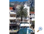 Palm tree apartman – Podgora – náhled 5