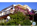 Villa Antunovi - Podgora - Podgora Kroatien