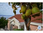 Villa Dado - Podgora Croatie