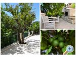 Villa Dado - Podgora Croatie