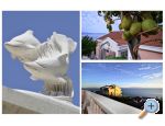Villa Dado - Podgora Croatie