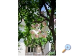 Villa Lidija - Podgora Kroatien