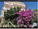 Villa Skala - Podgora Hrvaka