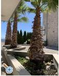 Appartements Botu - Podstrana Croatie