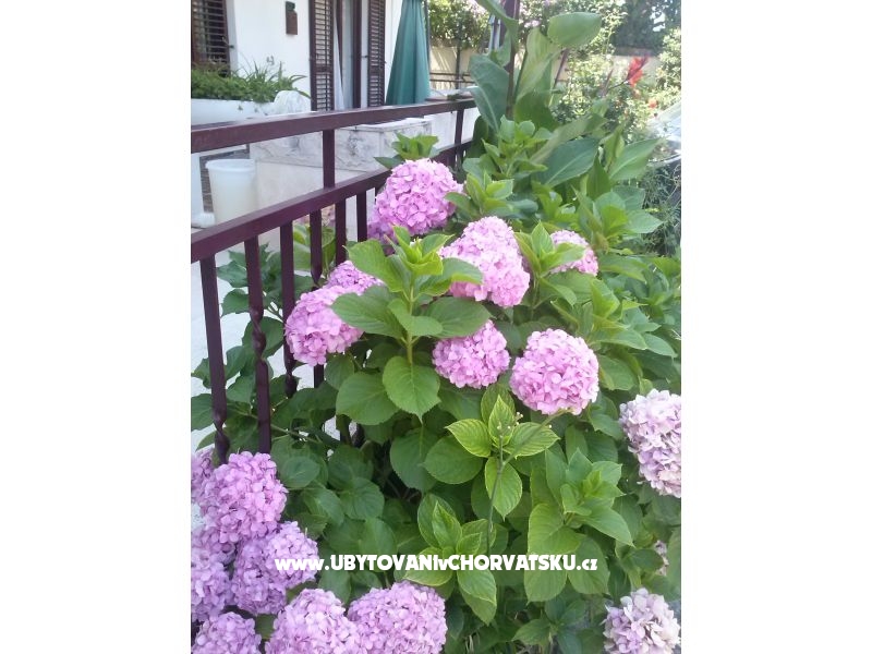 Apartmány Dana – ubytování Podstrana, Chorvatsko – foto 11