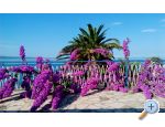 Appartements Juradin - Podstrana Croatie