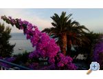 Appartements Juradin - Podstrana Croatie