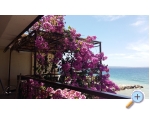 Appartements Jure - Podstrana Kroatien