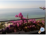 Appartements Jure - Podstrana Kroatien