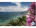Appartements Palme - Podstrana Croatie