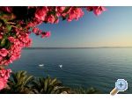 Appartements Palme - Podstrana Croatie