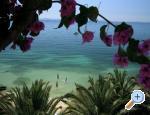 Appartements Palme - Podstrana Croatie