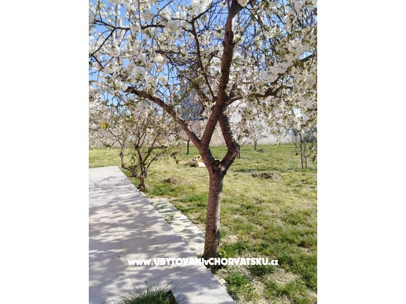 Appartements Renić – Ferienwohnung Podstrana, Kroatien – Foto 13