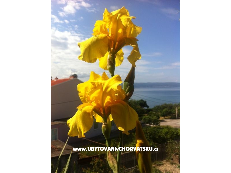 Appartements SARA – Ferienwohnung Podstrana, Kroatien – Foto 13